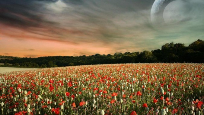 网友称在桔子水晶酒店洗漱包内发现用过的 四联检测盒，具体是怎么回事？酒店要承担哪些责任？